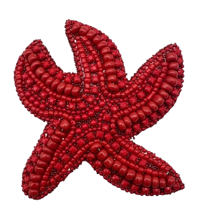 ESTRELA VERMELHA – AE 3703